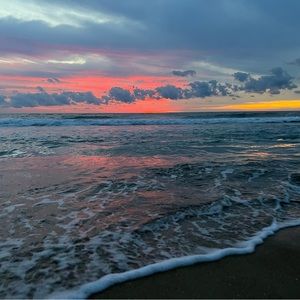 Meet your Posher, Mary rose